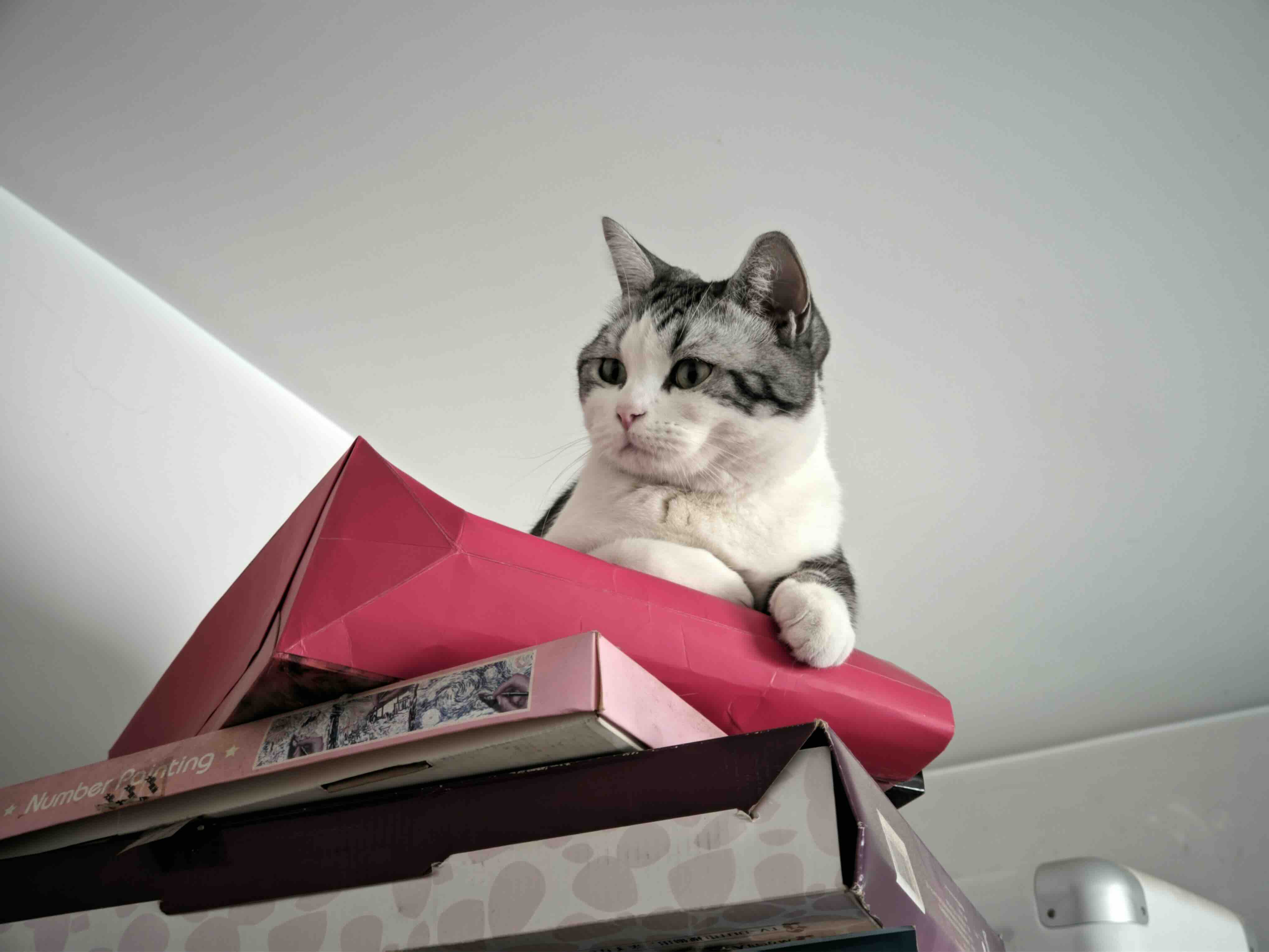 Windows 自动运行连接校园网的 Shell 脚本